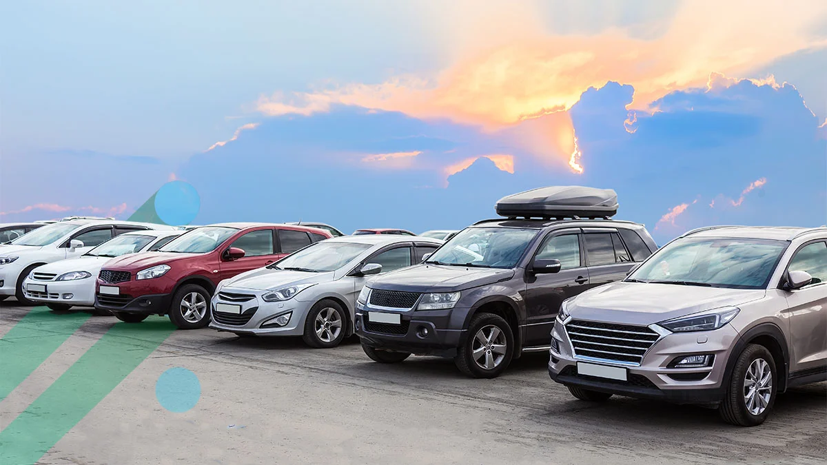 Car Rentals 